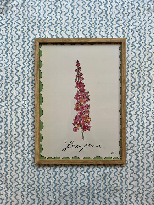 Foxglove Framed Print