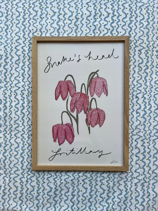 Snake’s Head Fritillary Framed Print