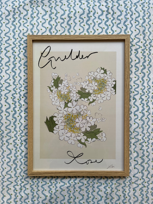 Guelder Rose Framed print